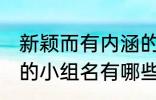 新颖而有内涵的小组名 新颖而有内涵的小组名有哪些