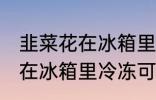 韭菜花在冰箱里冷冻能放多久 韭菜花在冰箱里冷冻可以放多长时间