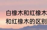 白橡木和红橡木的区别是什么 白橡木和红橡木的区别介绍