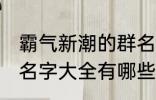 霸气新潮的群名字大全 霸气新潮的群名字大全有哪些