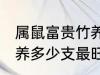 属鼠富贵竹养几支最旺运 属鼠富贵竹养多少支最旺运