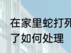 在家里蛇打死了怎么办 在家里蛇打死了如何处理