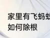 家里有飞蚂蚁怎么除根 家里有飞蚂蚁如何除根