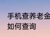 手机查养老金怎么查询 手机查养老金如何查询