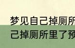 梦见自己掉厕所里了怎么回事 梦见自己掉厕所里了预兆什么