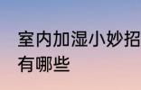 室内加湿小妙招有哪些 室内加湿方法有哪些