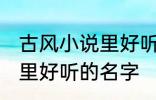 古风小说里好听的名字 优雅好听小说里好听的名字