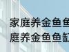 家庭养金鱼鱼缸里放什么水草好呢 家庭养金鱼鱼缸里放哪种水草好呢