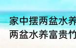 家中摆两盆水养富贵竹好不好 家中摆两盆水养富贵竹可以吗