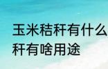 玉米秸秆有什么用途寻求合作 玉米秸秆有啥用途