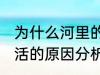 为什么河里的鱼养不活 河里的鱼养不活的原因分析