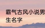 霸气古风小说男主名字 古风儒雅的男生名字