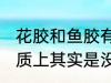 花胶和鱼胶有什么区别 鱼胶和花胶本质上其实是没有区别的对吗