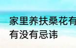 家里养扶桑花有忌讳吗 家里养扶桑花有没有忌讳