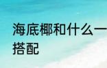 海底椰和什么一起煲汤好 海底椰煲汤搭配