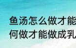 鱼汤怎么做才能做成乳白色的 鱼汤如何做才能做成乳白色的